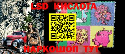 mdpv Новодвинск