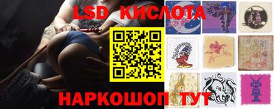 mdpv Новодвинск