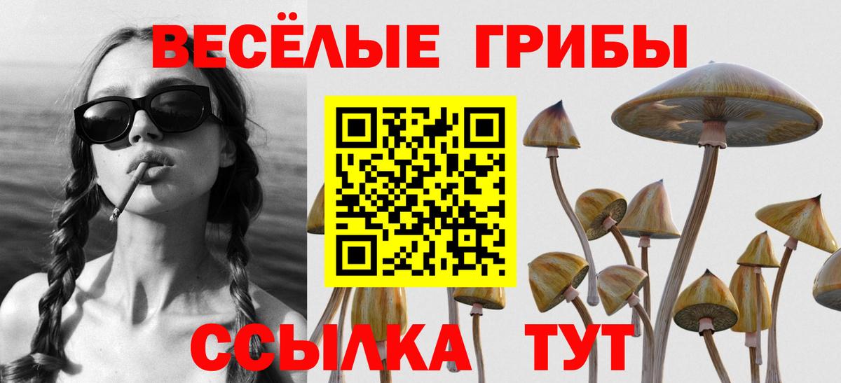 Псилоцибиновые грибы Psilocybine cubensis  Вход с VPN  Сокол 