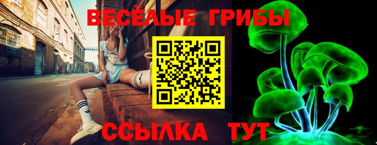 Галлюциногенные грибы Magic Shrooms Сокол